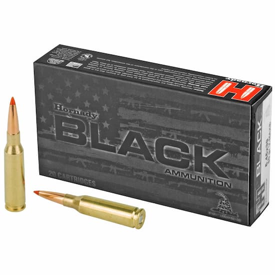 Subsonic ammo