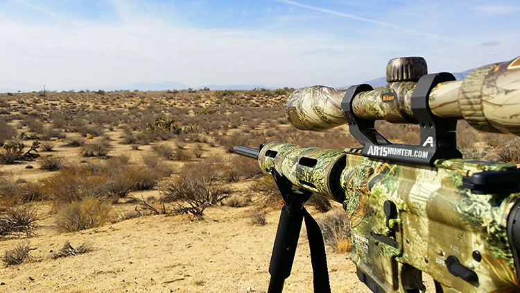 AR-Type Rifles: Versatility, Adaptability, and Popularity