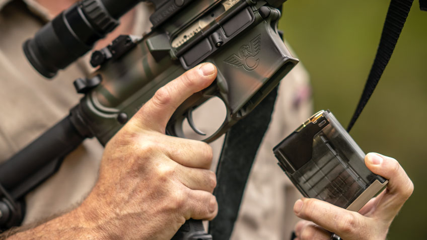 AR-Type Rifles: Versatility, Adaptability, and Popularity