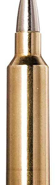 Norma Ammunition 20177512  Ecostrike 300WSM 165gr 20 Per Box/10 Case