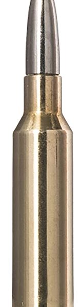 Norma Ammunition 20166572  Ecostrike 6.5Creedmoor 120gr 20 Per Box/10 Case