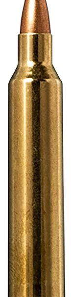 Norma Ammunition 20156502  Tipstrike 204Ruger 40gr V-Max 20 Per Box/10 Case