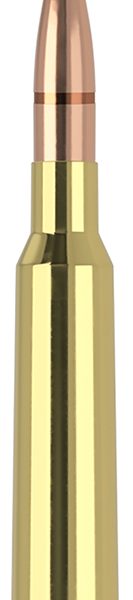 Nosler 40015   6.5x55Swedish 120gr Expansion Tip 20 Per Box/10 Case