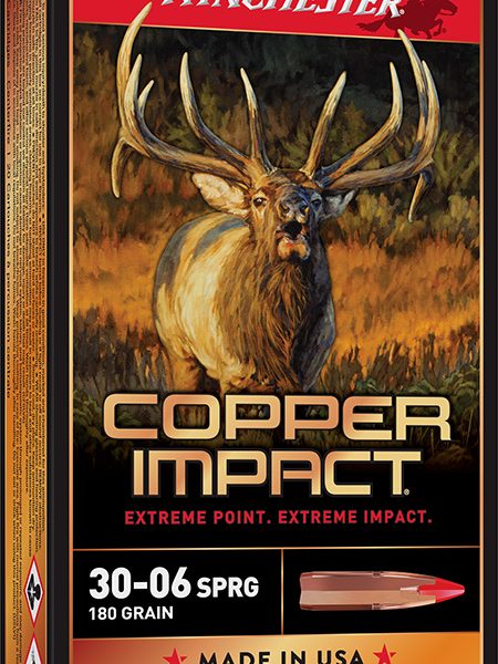 Winchester Ammo X3006CLF2 Copper Impact  30-06Springfield 180gr Copper Extreme Point Lead Free 20 Per Box/10 Case
