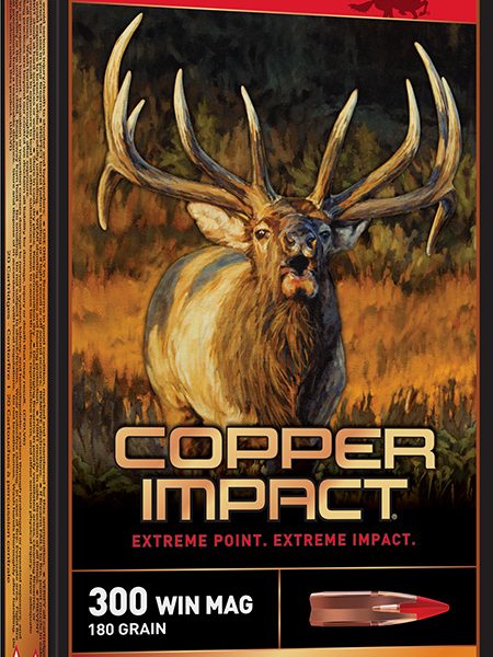 Winchester Ammo X300CLF2 Copper Impact  300WinMag 180gr Copper Extreme Point Lead Free 20 Per Box/10 Case