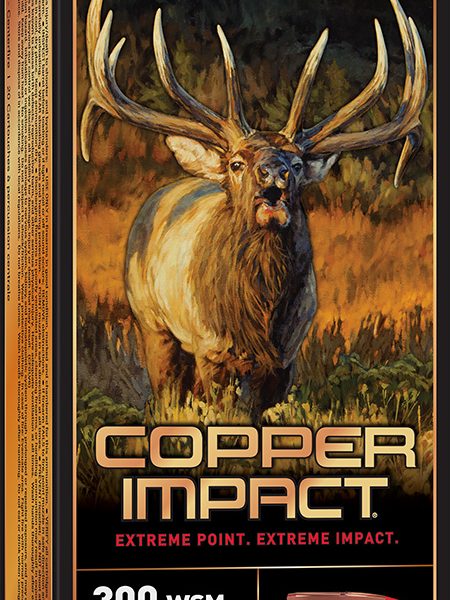 Winchester Ammo X300SCLF2 Copper Impact  300WSM 180gr Copper Extreme Point Lead Free 20 Per Box/10 Case