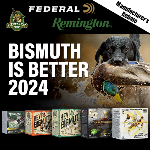Federal Bismuth Is Better 2024