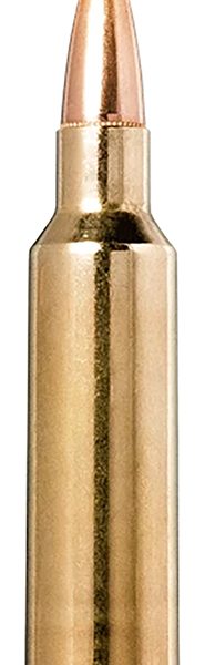 Norma Ammunition 20174022  Tipstrike 300WSM 170gr 20 Per Box/10 Case