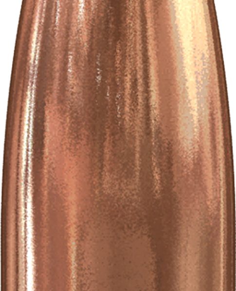 Speer 4711 Varmint  22 Caliber .224 55 GR Soft Point Value Pack 1000 Box