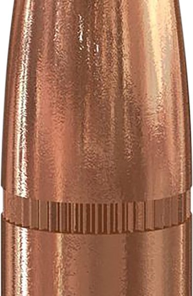Speer 2063 Grand Slam  .308 180 gr Grand Slam Soft Point 50