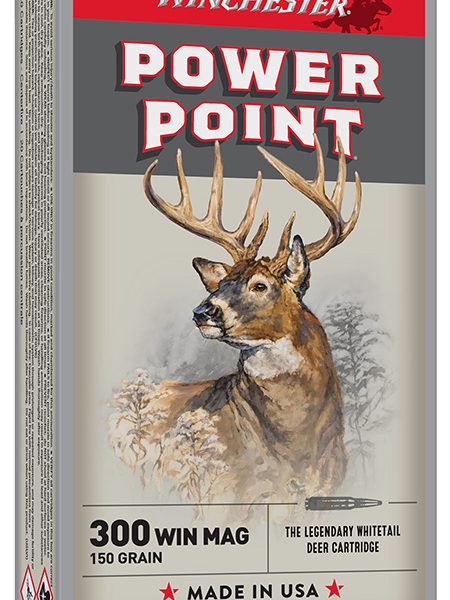 Winchester Ammo X30WM1 Power-Point  300WinMag 150gr 20 Per Box/10 Case