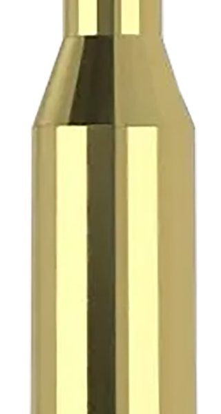 Nosler 40041   243Win 70gr Ballistic Tip Varmint 20 Per Box/10 Case