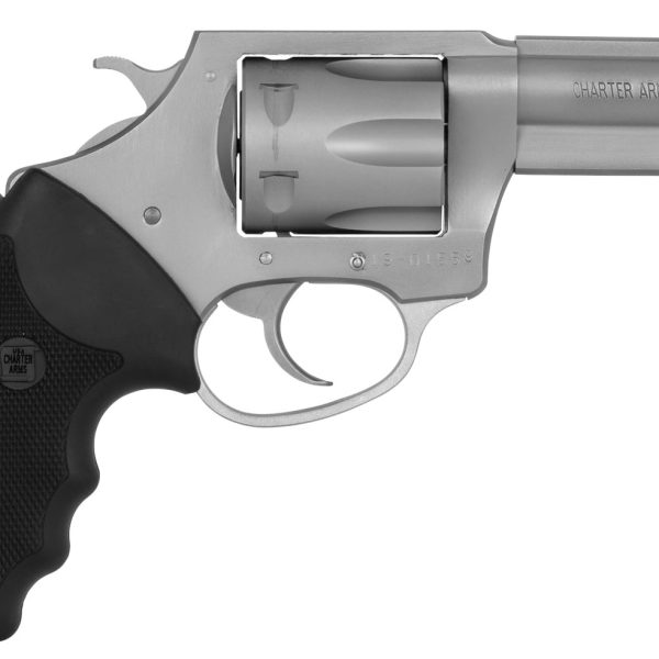 Charter Arms Pitbull — .380 ACP, 6-round