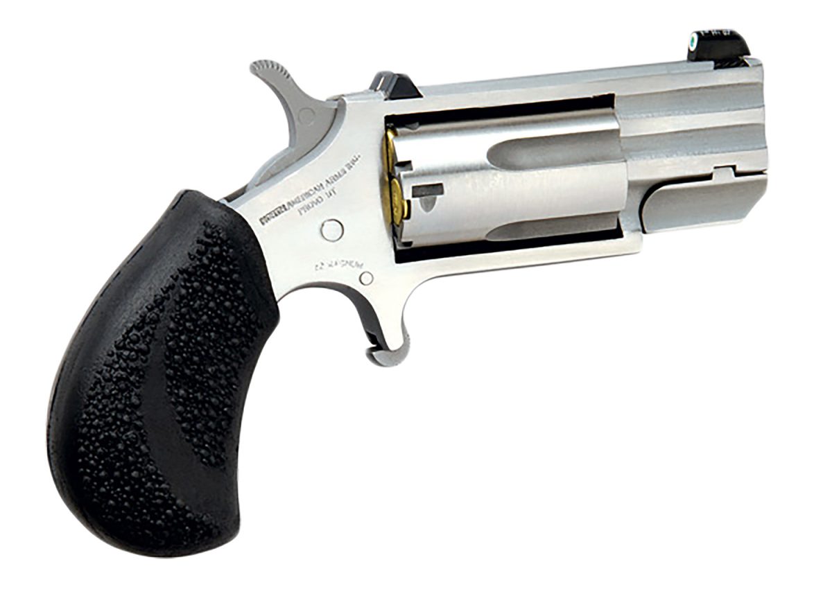 North American Arms Pugt Pug  22 Wmr 5 Rd 1&Quot; Barrel, Overall Stainless Steel Finish, Black Pebbled Texture Rubber Grip, Xs Tritium Dot Sight