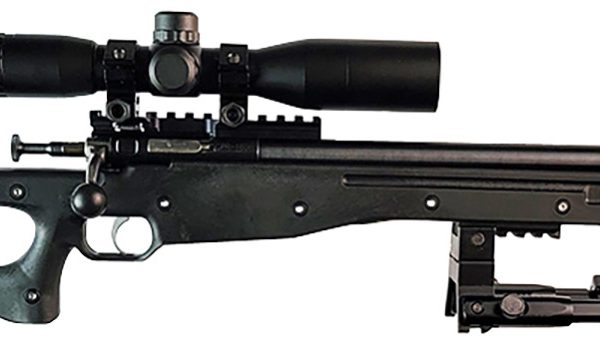 Davey Crickett Precision Rifle — .22 LR, 16.12"