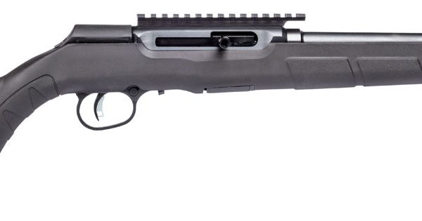 Savage Arms 47241 A22 FV-SR Semi-Auto 22 LR Caliber with 10+1 Capacity, 16.50" Threaded Barrel, Matte Black Metal Finish & Matte Black Synthetic Stock Right Hand (Full Size)