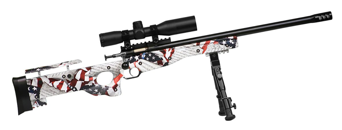 Crickett Ksa2153 Precision Complete Package 22 Lr 1Rd 16.12&Quot; Blued American Flag &Amp; Amendment Fixed Thumbhole Stock Right Hand (Youth)
