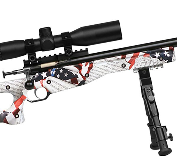 Crickett KSA2153 Precision Complete Package 22 LR 1rd 16.12" Blued American Flag & Amendment Fixed Thumbhole Stock Right Hand (Youth)
