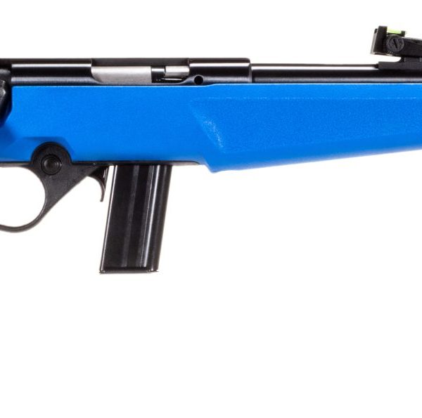 Rossi RB22 — .22 LR, 16.5"