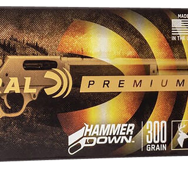 Federal Premium .45-70 Govt 300gr — 20 rds