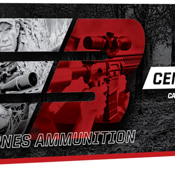 Barnes Ammunition .300 BLK 120gr — 20 rds