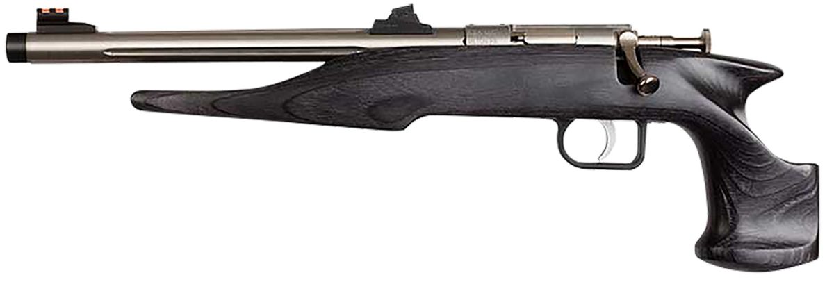 Chipmunk 40103 Hunter  Youth Frame 22 Lr Single Shot 9&Quot; Threaded Stainless Steel Barrel, Black Laminate Frame
