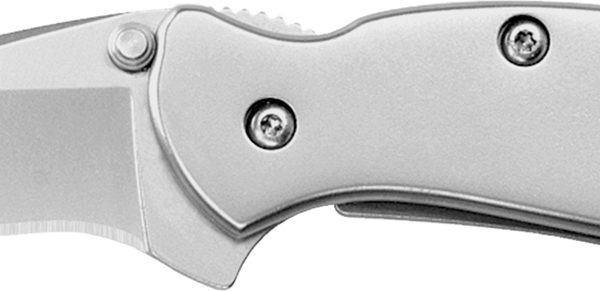 Kershaw 1600 Chive  EDC 1.90" Folding Drop Point Plain Bead Blasted 420HC SS Blade, Bead Blasted Stainless Steel Handle