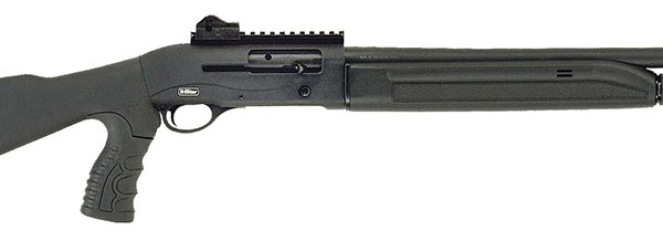 TriStar Arms Raptor — 12 ga, 20"