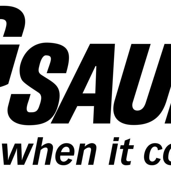 SIG Sauer P365 — 9mm, 12-round