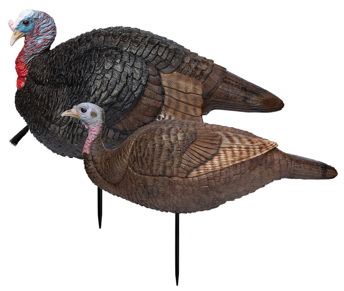 Primos 69075 Lil' Gobblestopper Jake &Amp; Hen Combo Turkey Species Multi Color