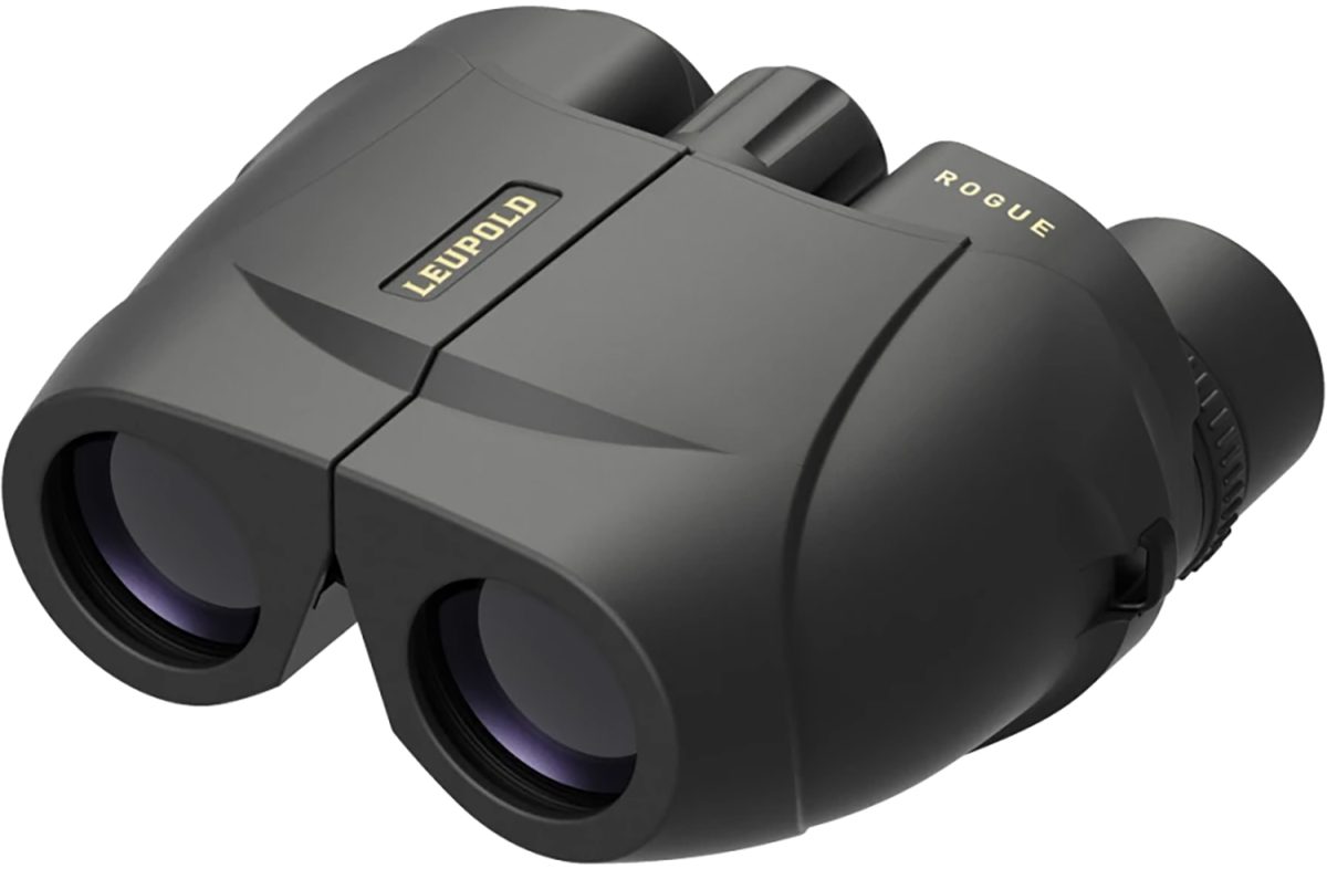 Leupold 59220 Bx-1 Rogue 8X25Mm Black