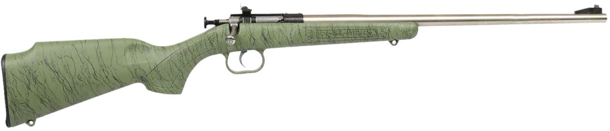 Crickett Ksa2442 Gen2  Youth 22 Lr 1Rd 16.13&Quot; Stainless Single Shot Barrel, Stainless Steel Receiver, Green W/Black Webbing Fixed Synthetic Stock