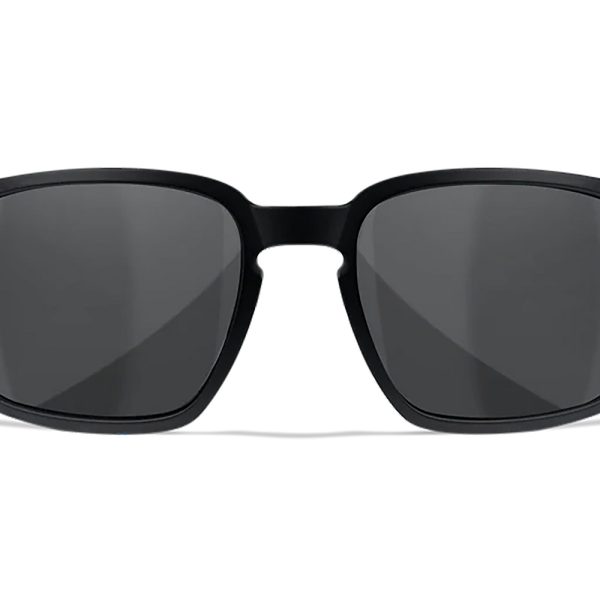 Wiley X AC6ALF02 Alfa  M/L Smoke Gray Lens Polycarbonate Matte Black Frame