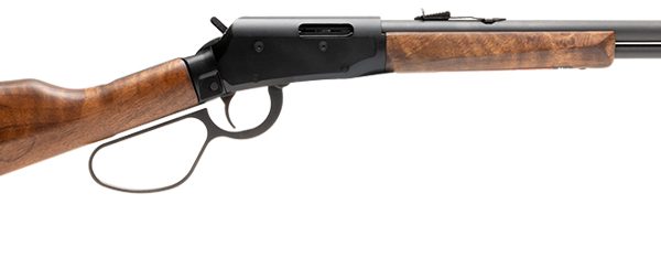 Savage Revel — .22 WMR, 18"