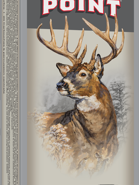 WINCHESTER SPR-X 243WSSM 100GR PP
