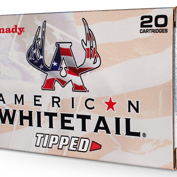 HORNADY 243 WIN 95 GR SST® AWT 20RD/BX 10BX/CS