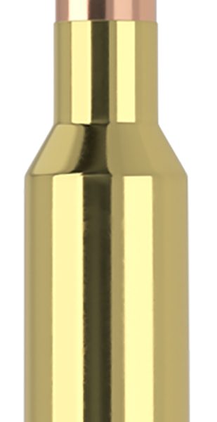 Nosler 61053   6.5x55Swedish 140gr Ballistic Tip 20 Per Box/10 Case