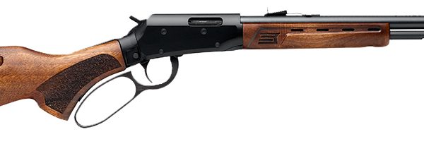 Savage Revel — .22 WMR, 18"
