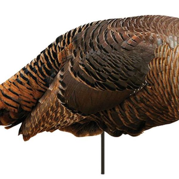 MONTANA DECOY SPRING FLING HEN 2D