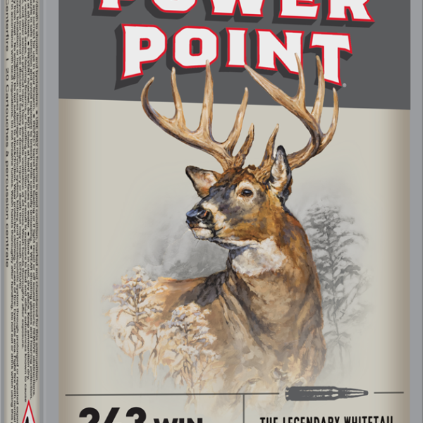 Winchester Super-X .243 Win 100gr — 20 rds