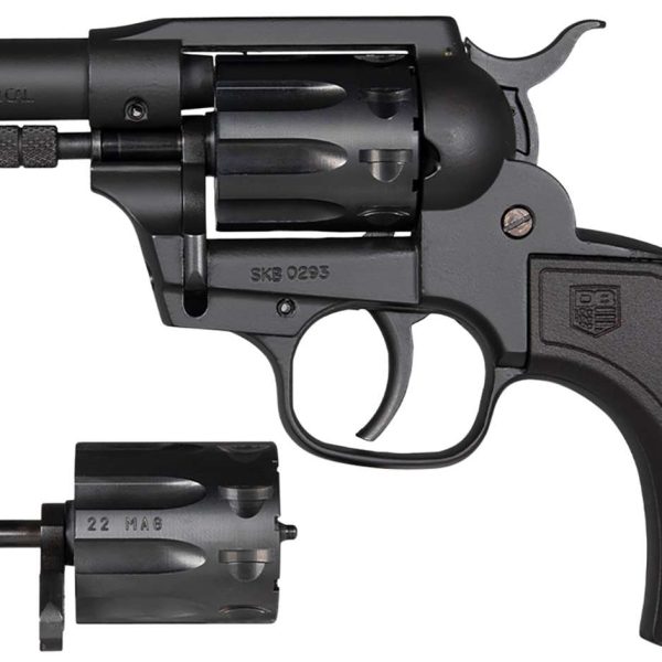 Diamondback Birdshead Sidekick — .22 LR, 9-round