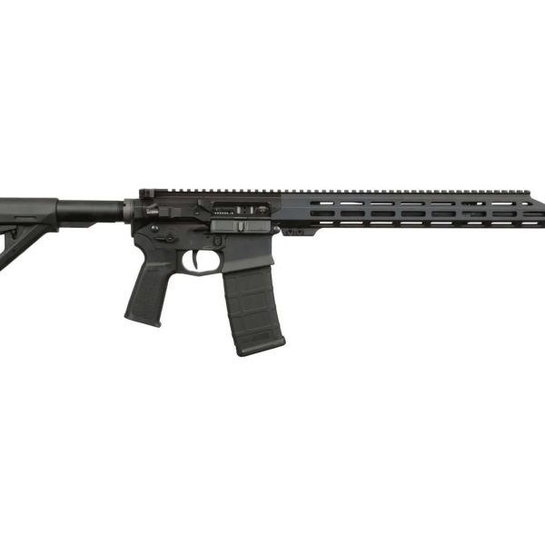 US Palm Storm CAT4 — .223/5.56, 16"