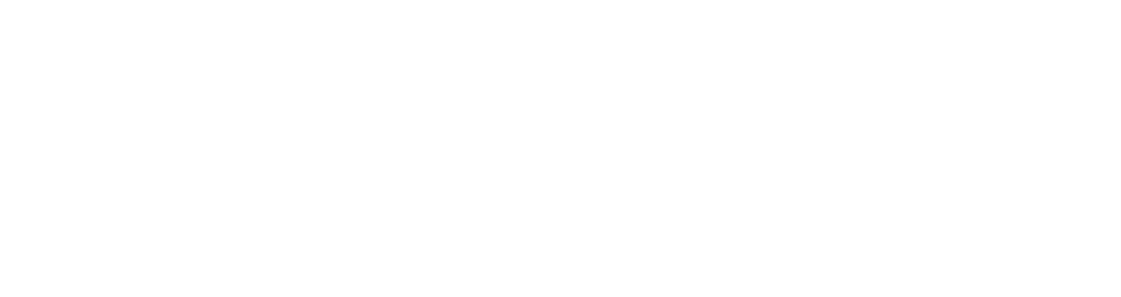Staccato 2011 Elite Dealer