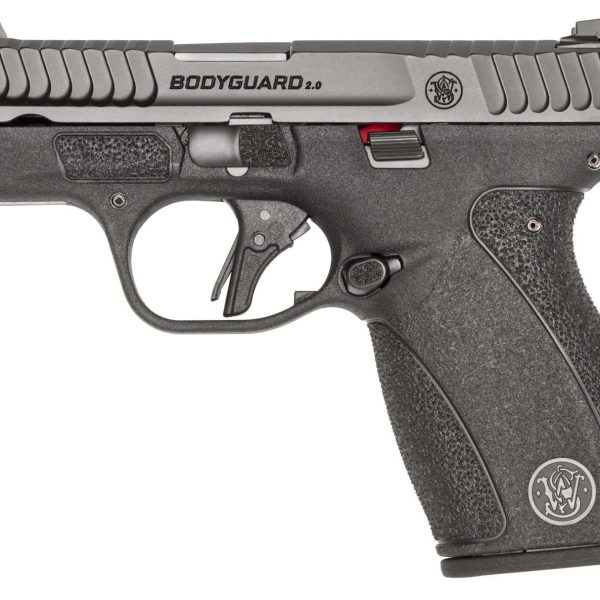 BODYGUARD 380ACP 2.75BL 10/12RD
