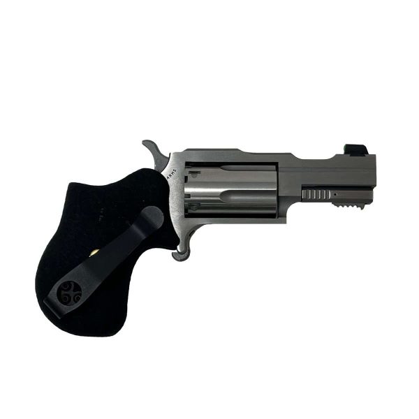 NORTH AMERICAN ARMS 22MAG 1-5/8" RULE 1 SS XS SGHT