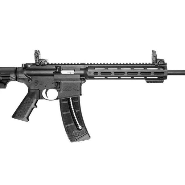 Smith & Wesson M&P 15-22 — .22 LR
