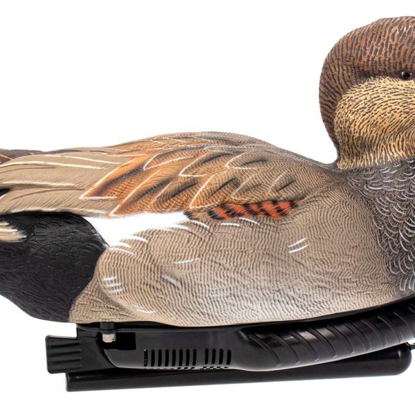 AVIAN AVX-PSW-GDSW  POWER SWIMMER GADWILL DRAKE