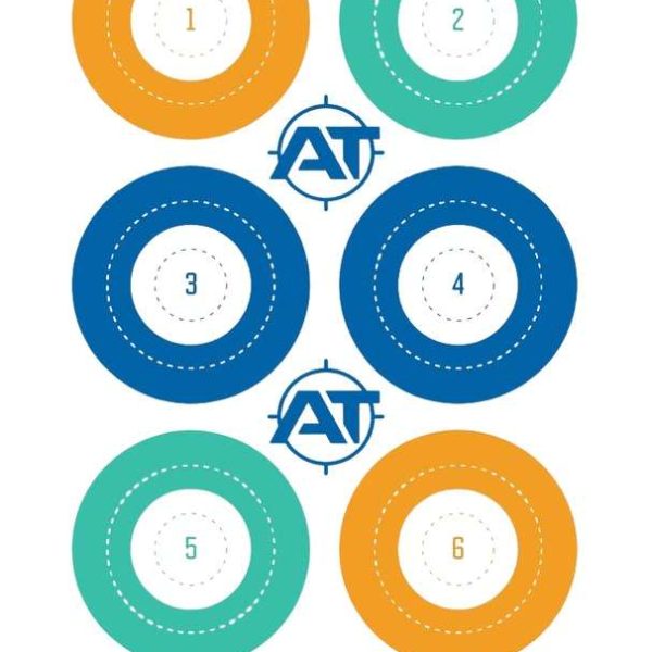 ACTION DOT-S-100         12"X18" DOTS        100BX