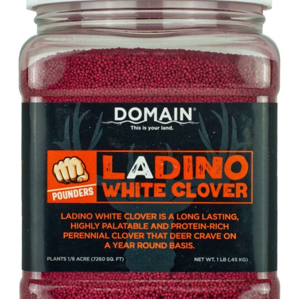 DOMAIN DLWCS1LB    LADINO WHITE CLOVER
