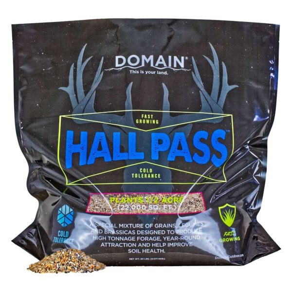 DOMAIN HPFP20      HALL PASS